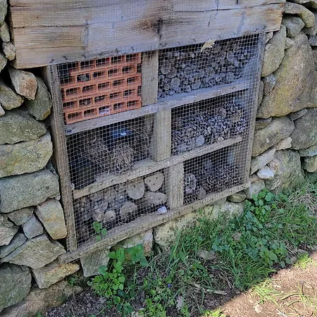 Domek alpejski Studio De Jardin En Ardeche *